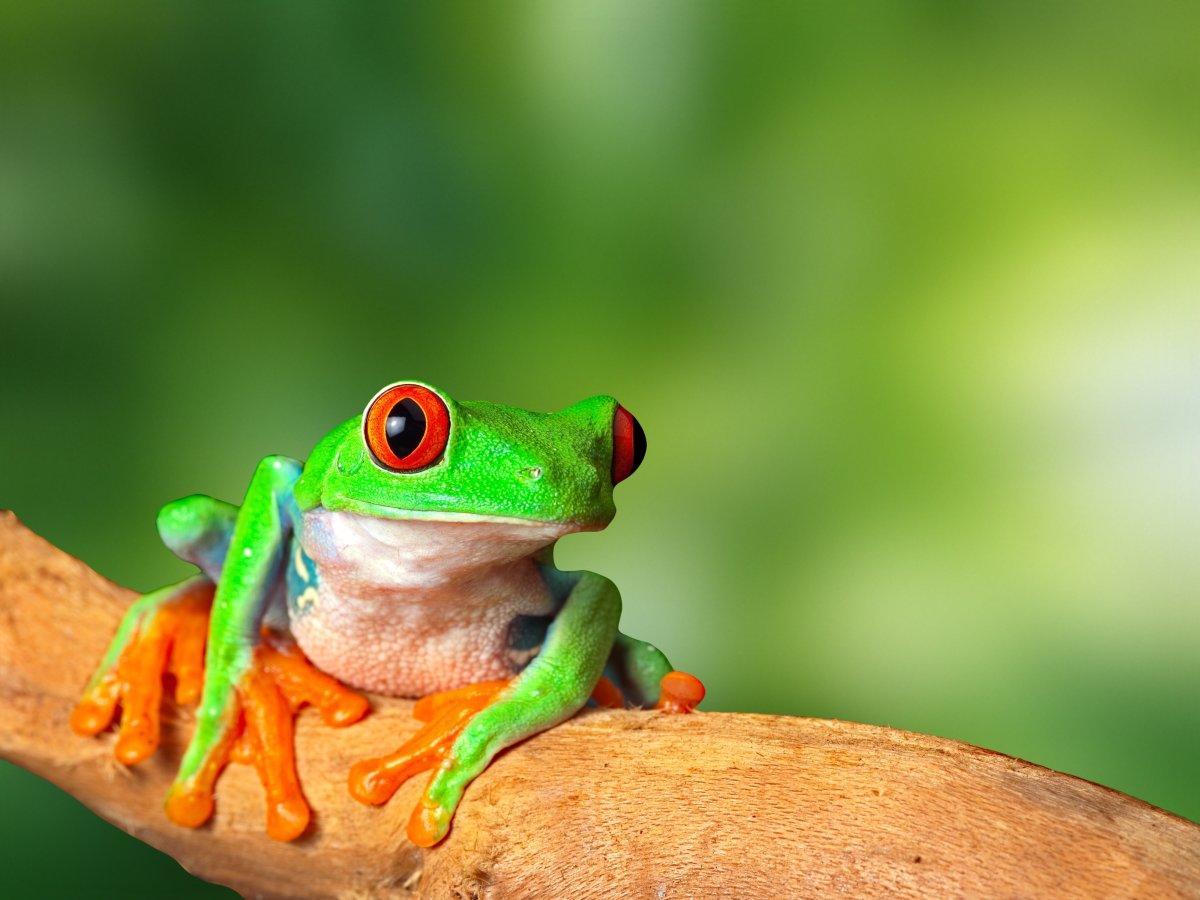destinations for eco-travelers