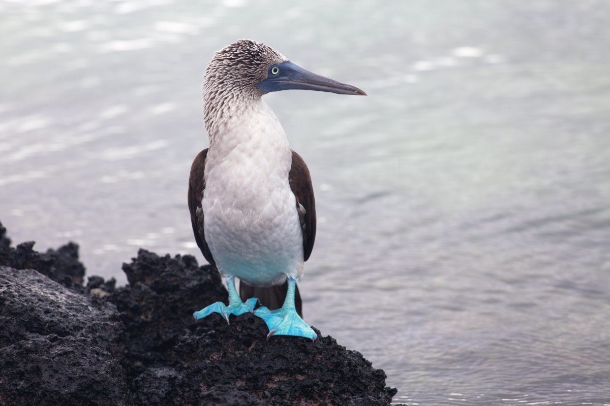 destinations for eco-travelers