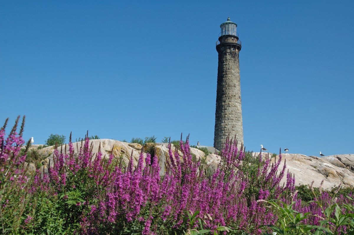 things to love about Rockport