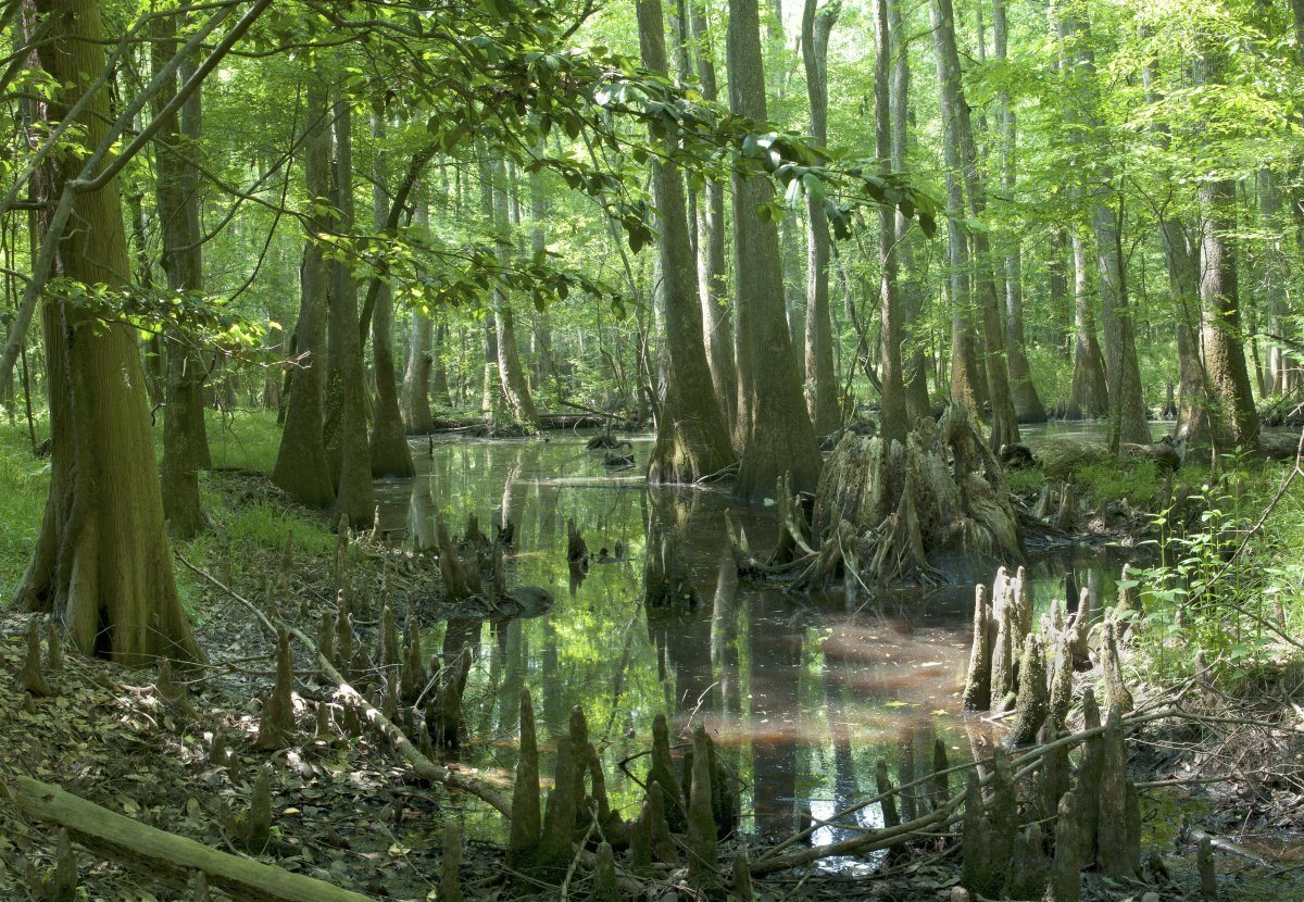 national parks in North America
