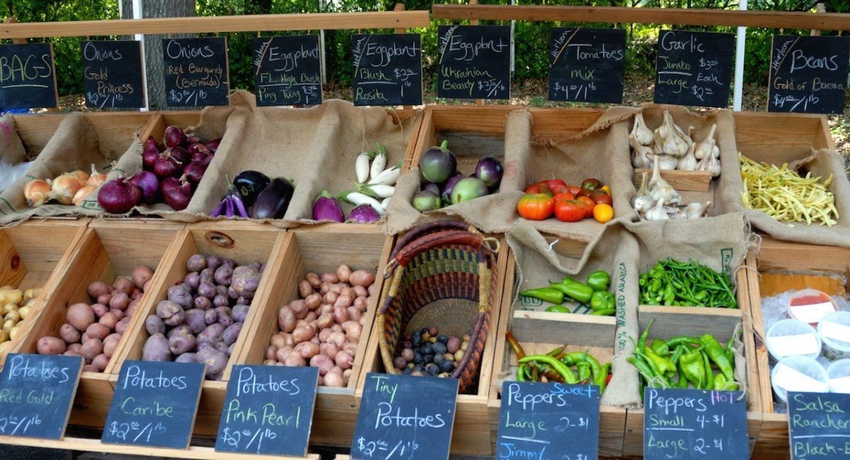 things to see and do in athens, georgia