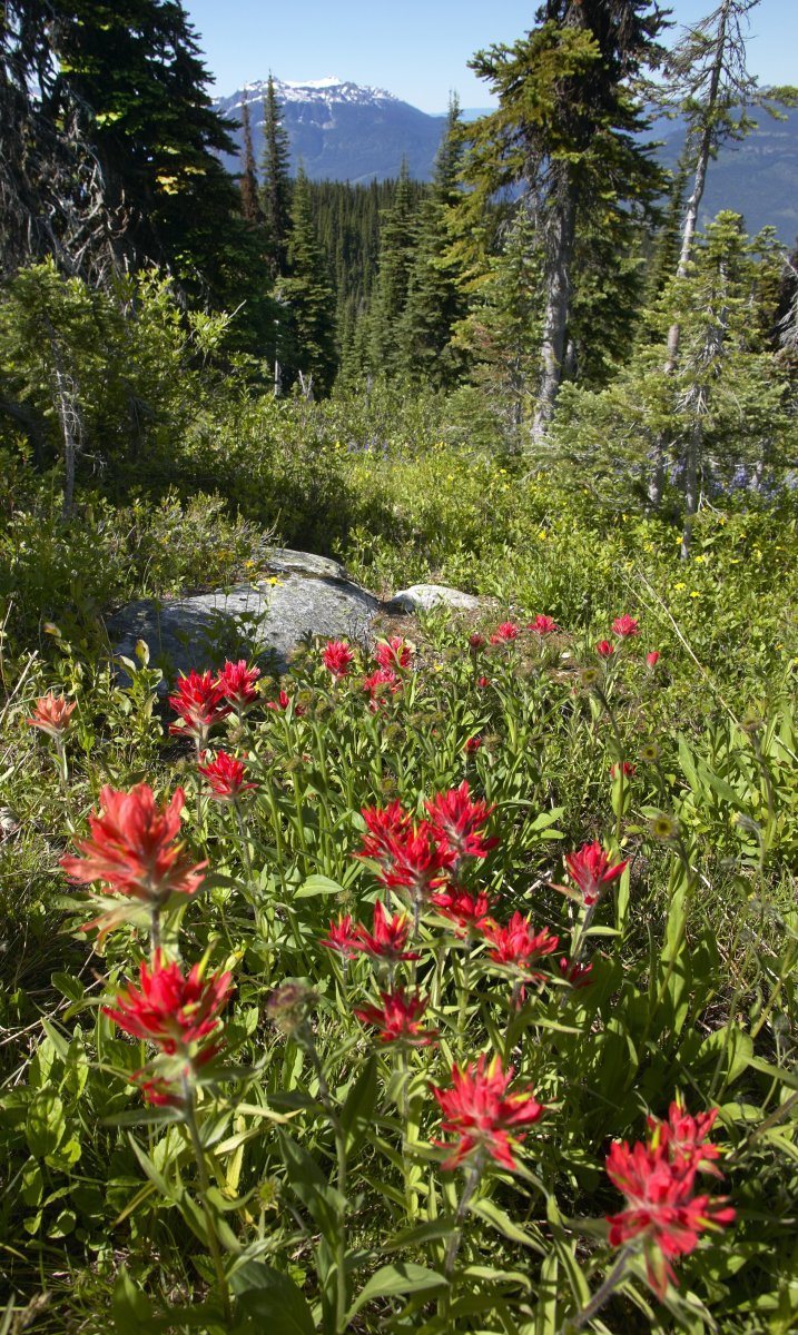 national parks in North America