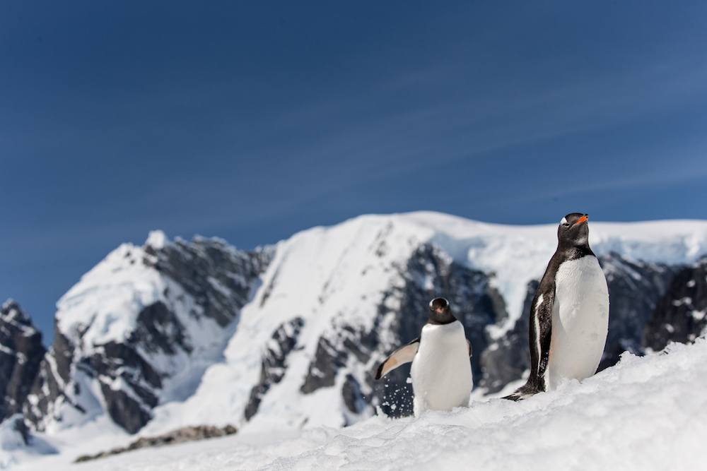 amazing images of Antarctica