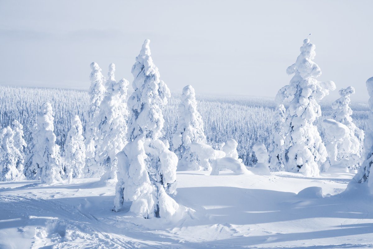 winter wonderland getaways