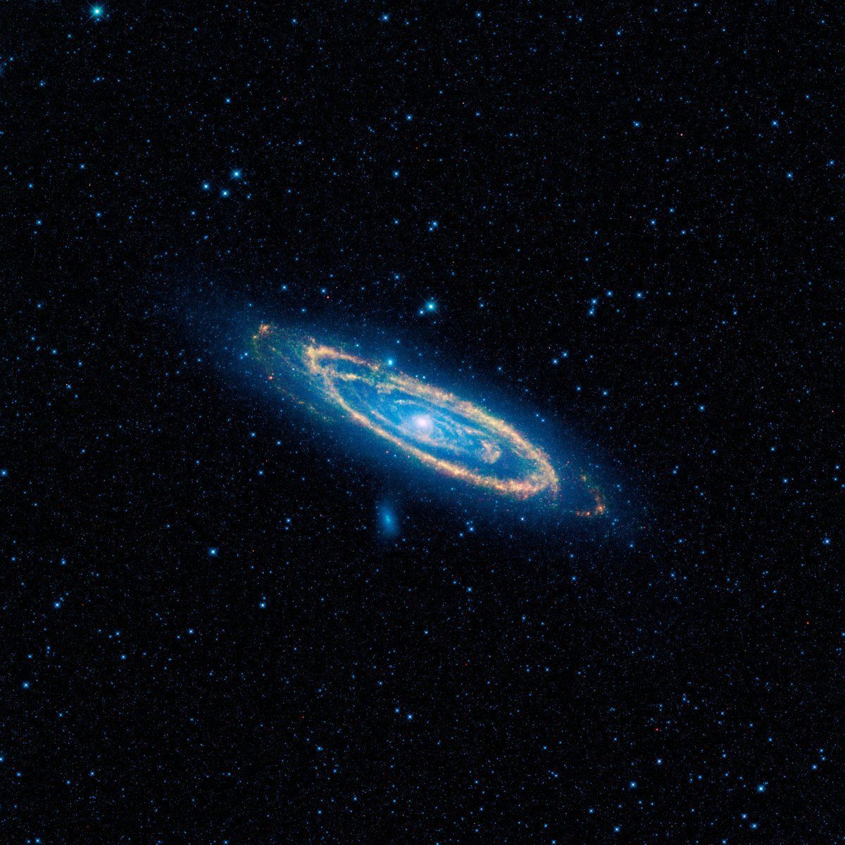 trips that are out of this world