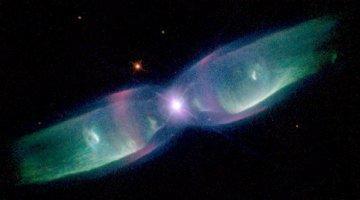 trips that are out of this world