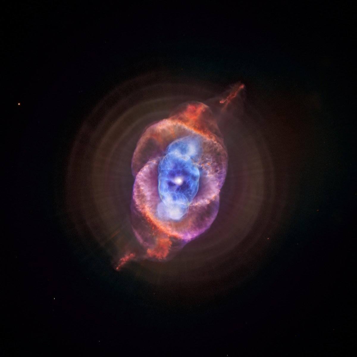 trips that are out of this world