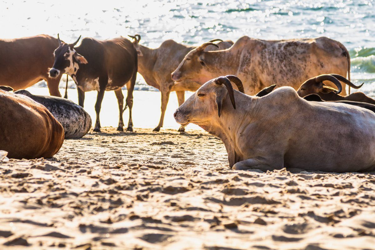 dirty beaches to avoid