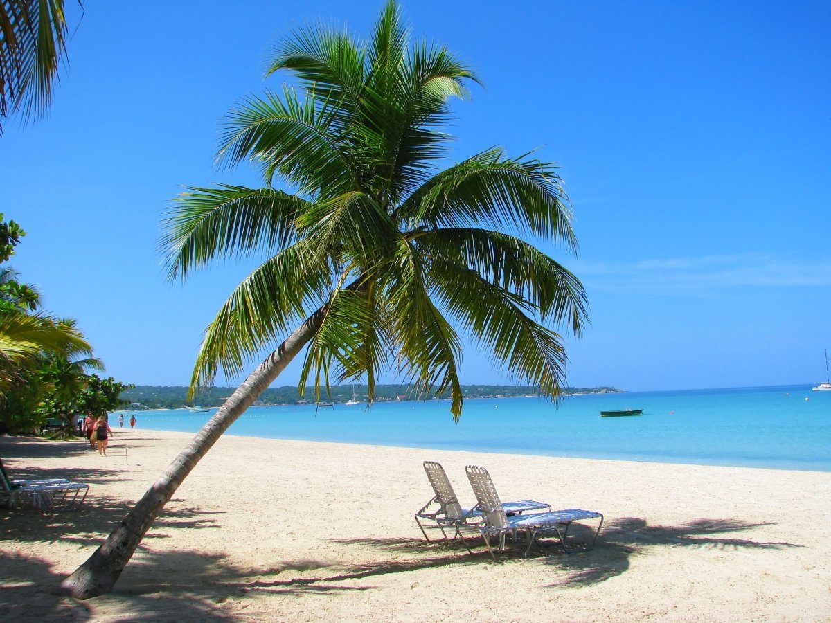 things to do and see in negril