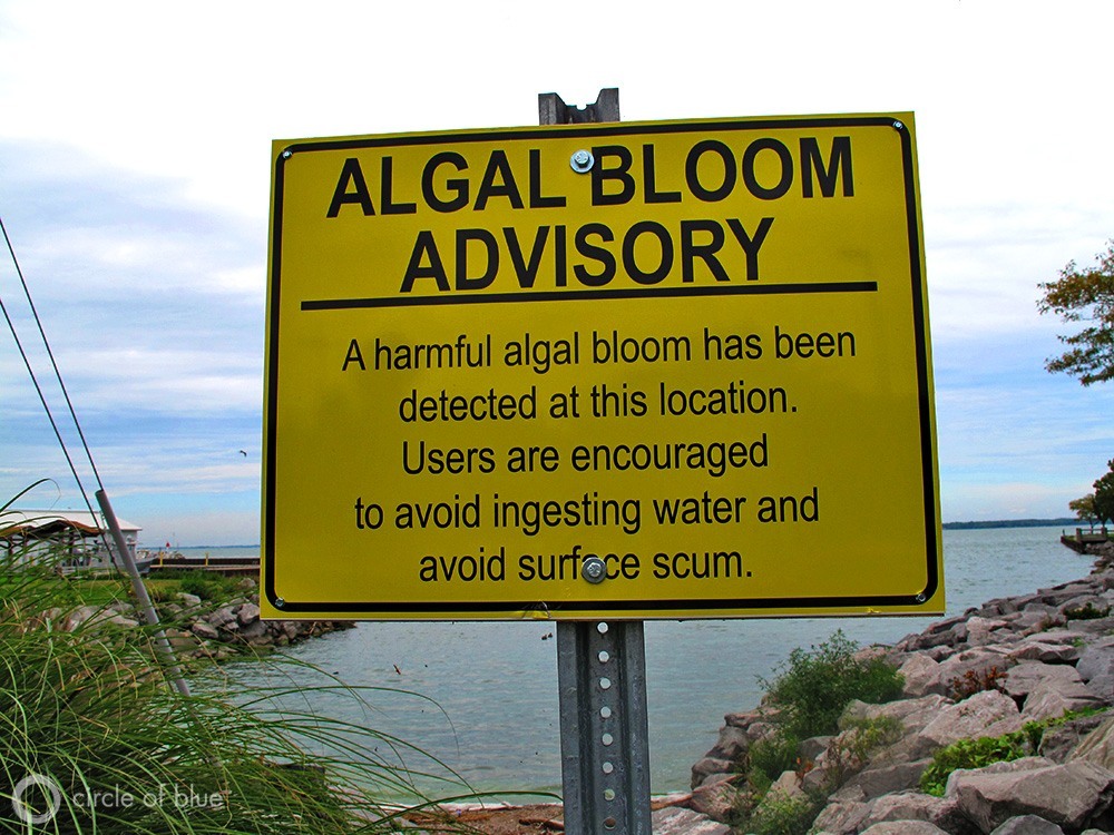 dirty beaches to avoid
