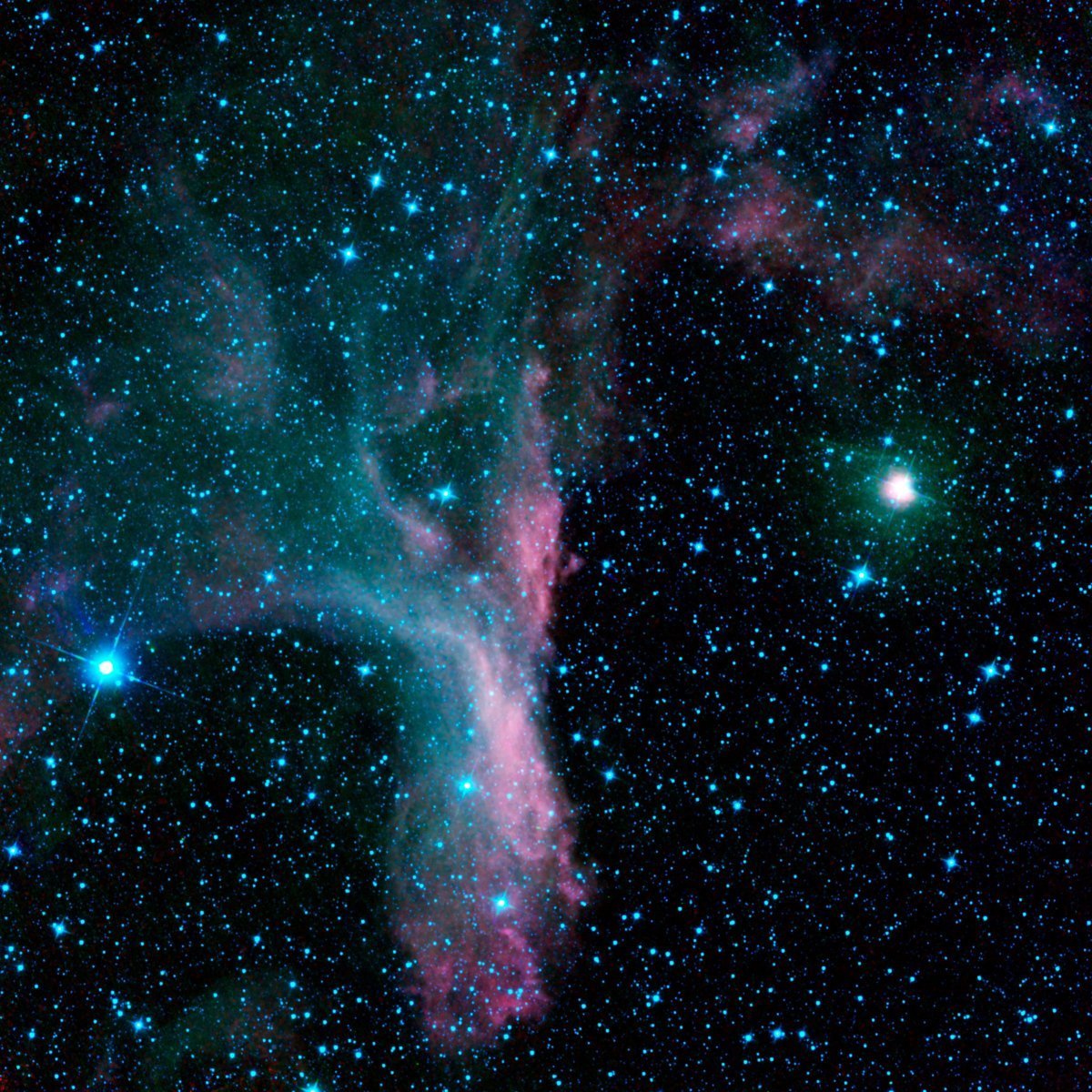 trips that are out of this world