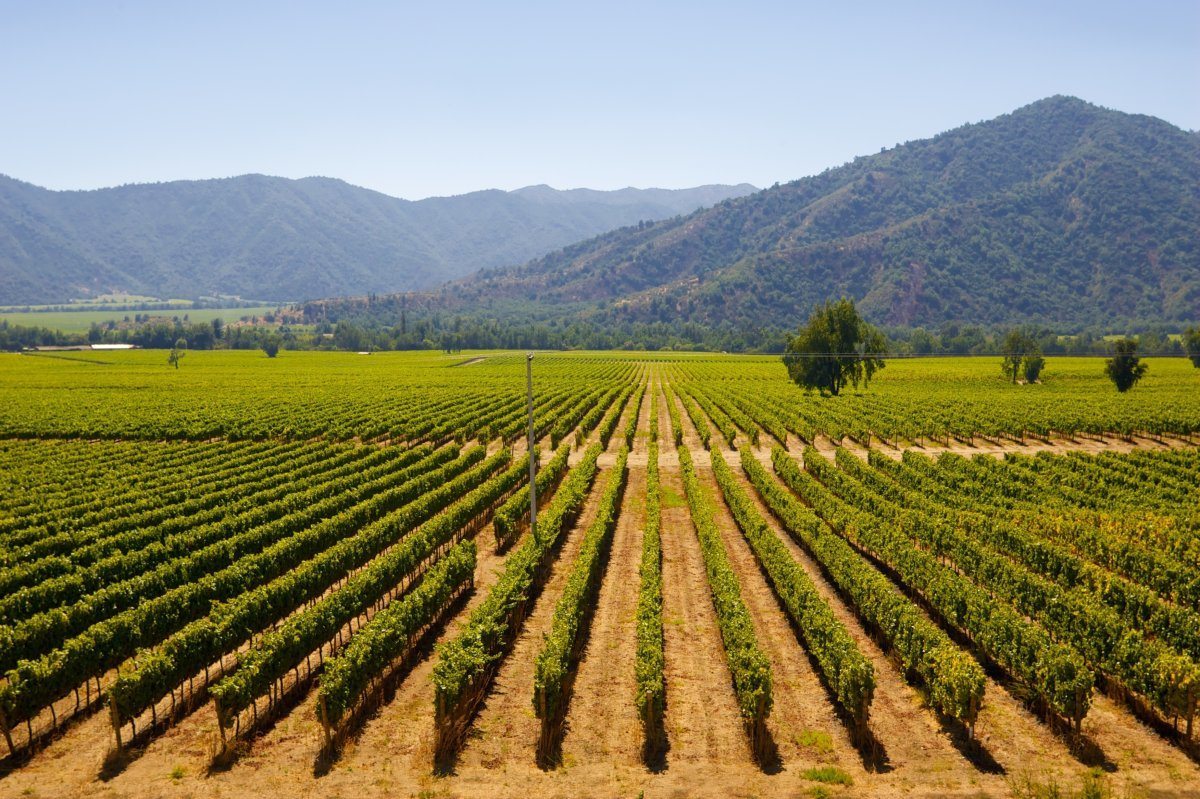 destinations for wine lovers