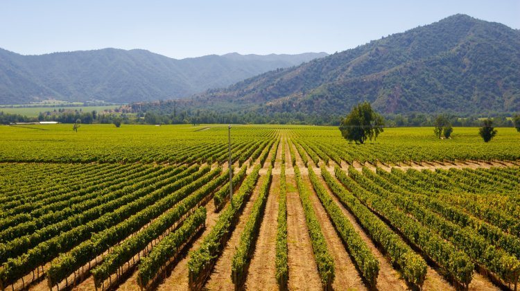 destinations for wine lovers
