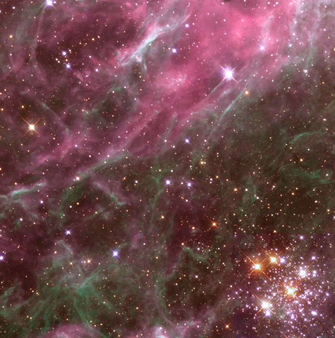 trips that are out of this world