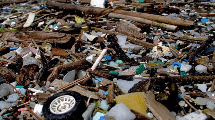 how humans destroy Earth