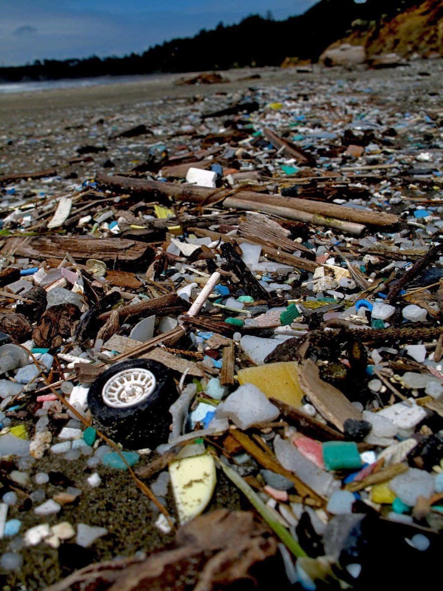 how humans destroy Earth