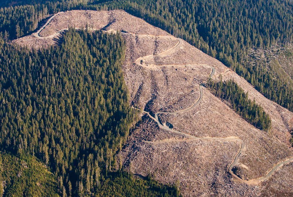 how humans destroy Earth