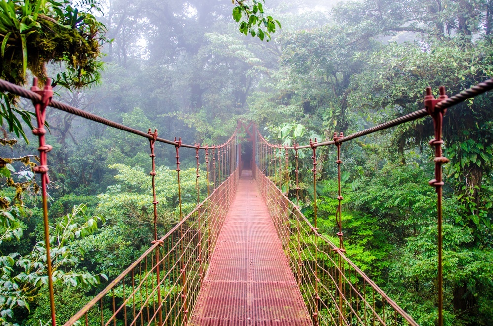 lushest rainforests in the world