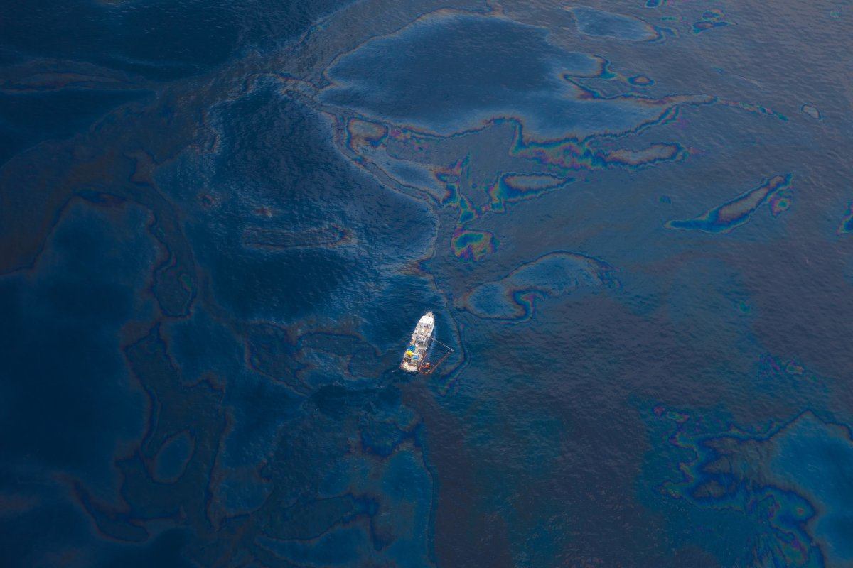 how humans destroy Earth