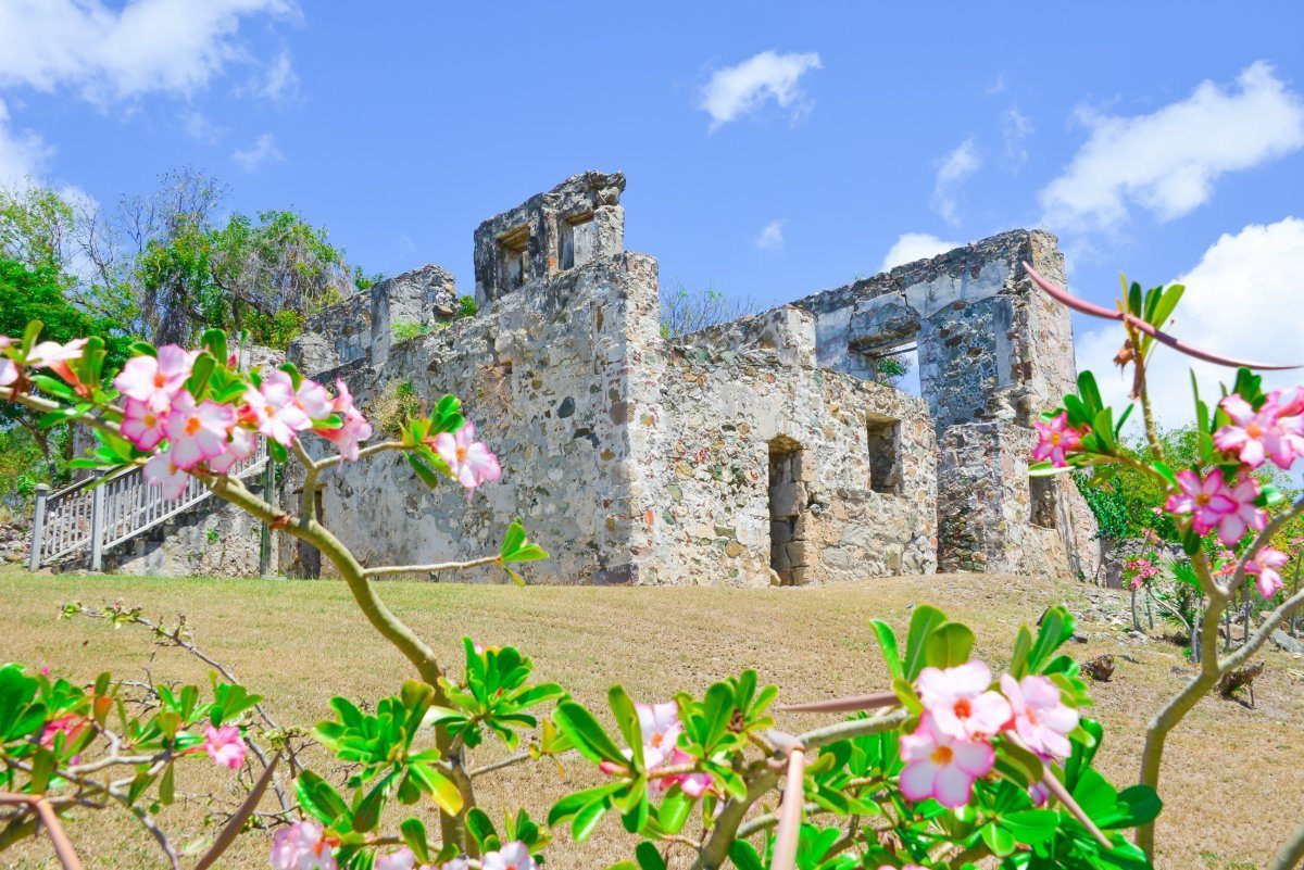 visit the US Virgin Islands