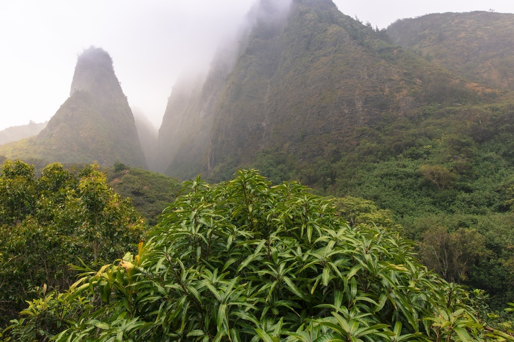 underrated attractions in Hawaii