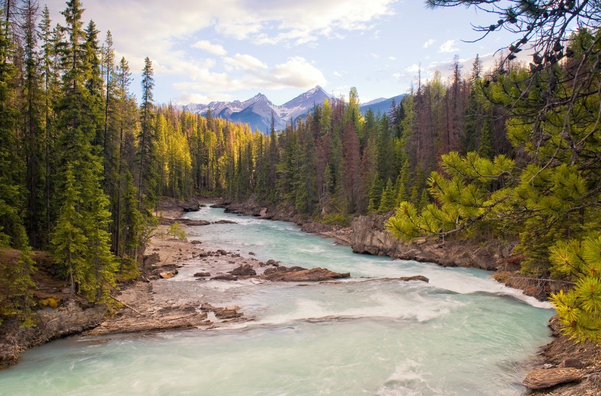 rivers for white water rafting