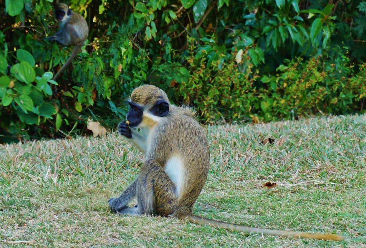 under the radar Caribbean islands