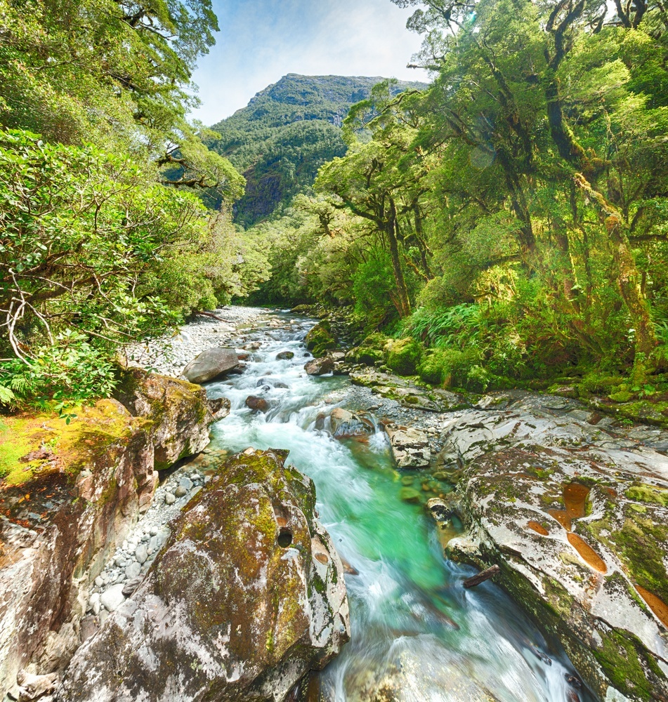 lushest rainforests in the world