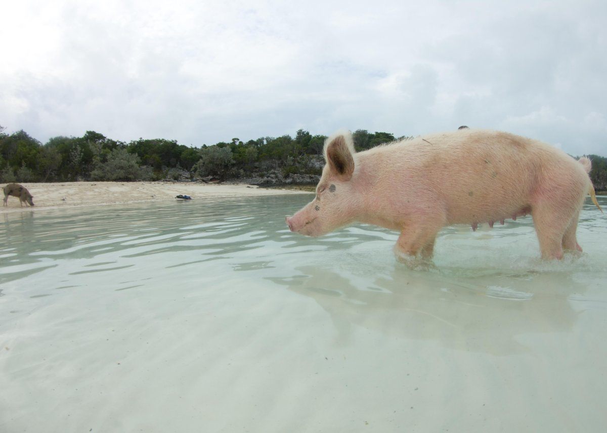 under the radar Caribbean islands
