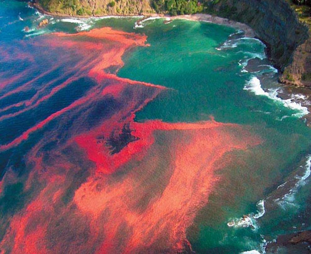 how humans destroy Earth
