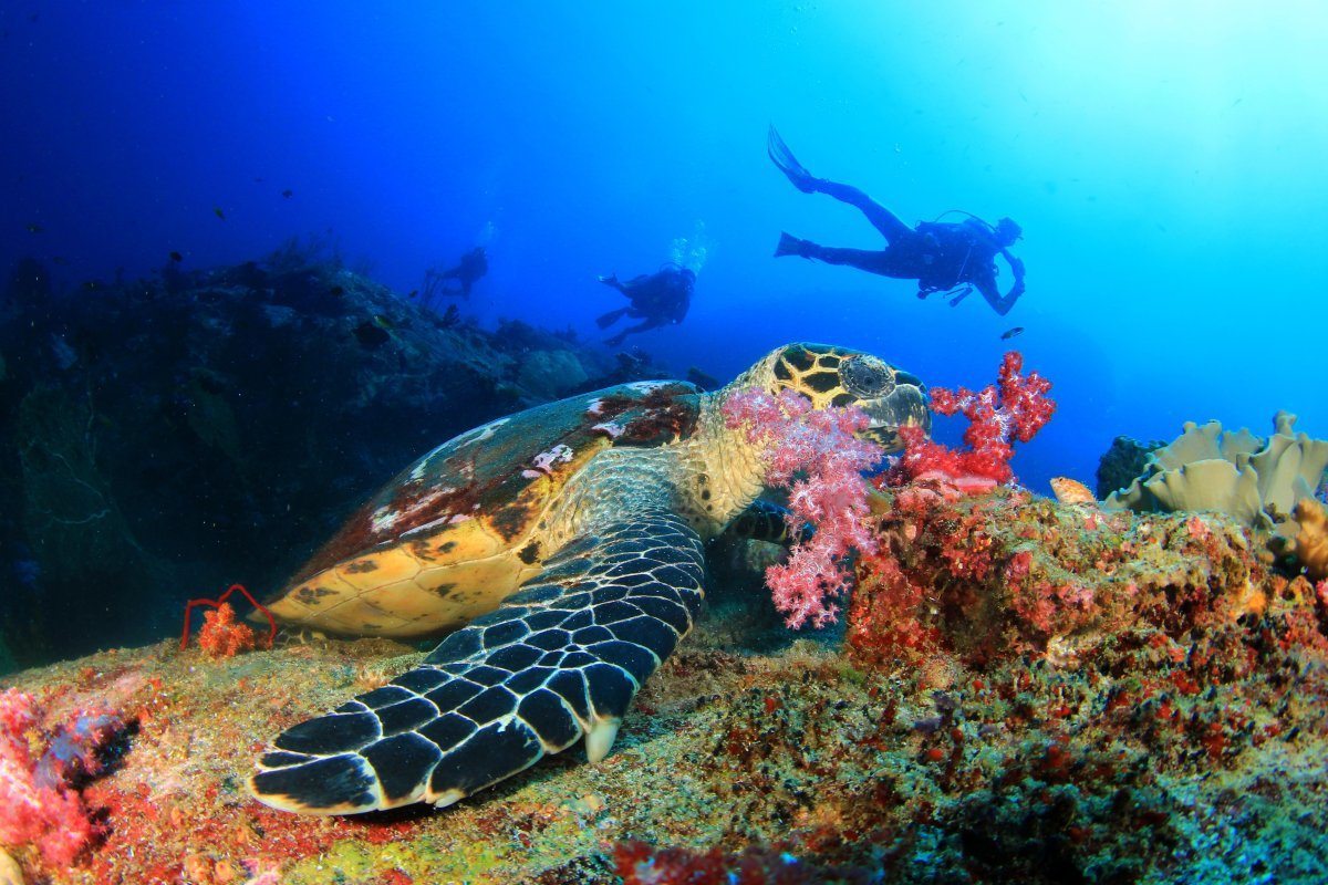 under the radar Caribbean islands