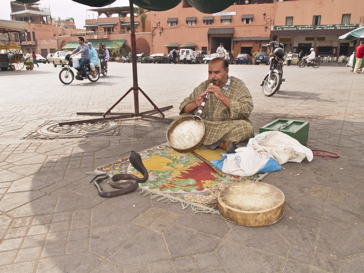 things not to do in Marrakesh