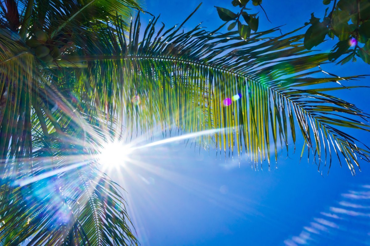 visit the US Virgin Islands