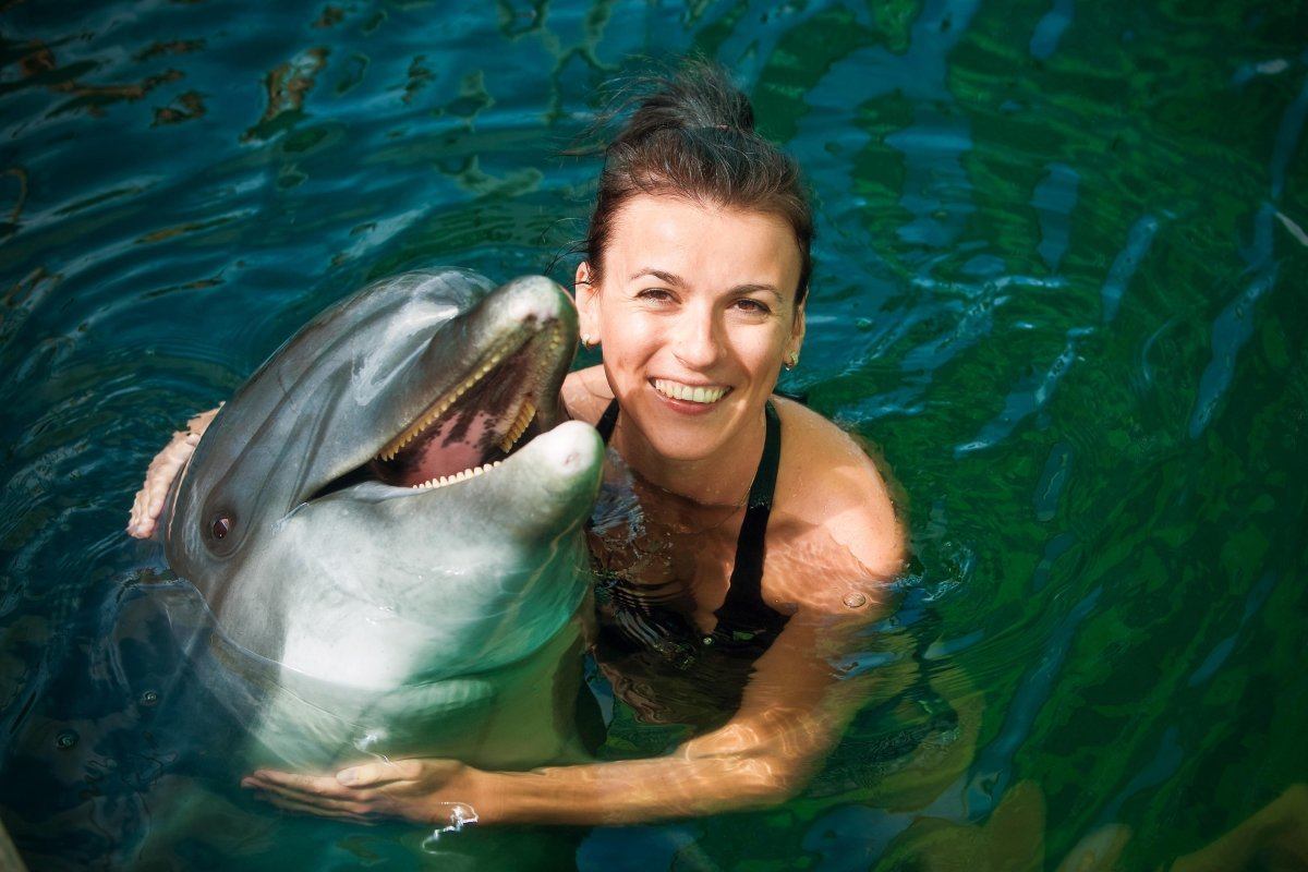 swim with dolphins