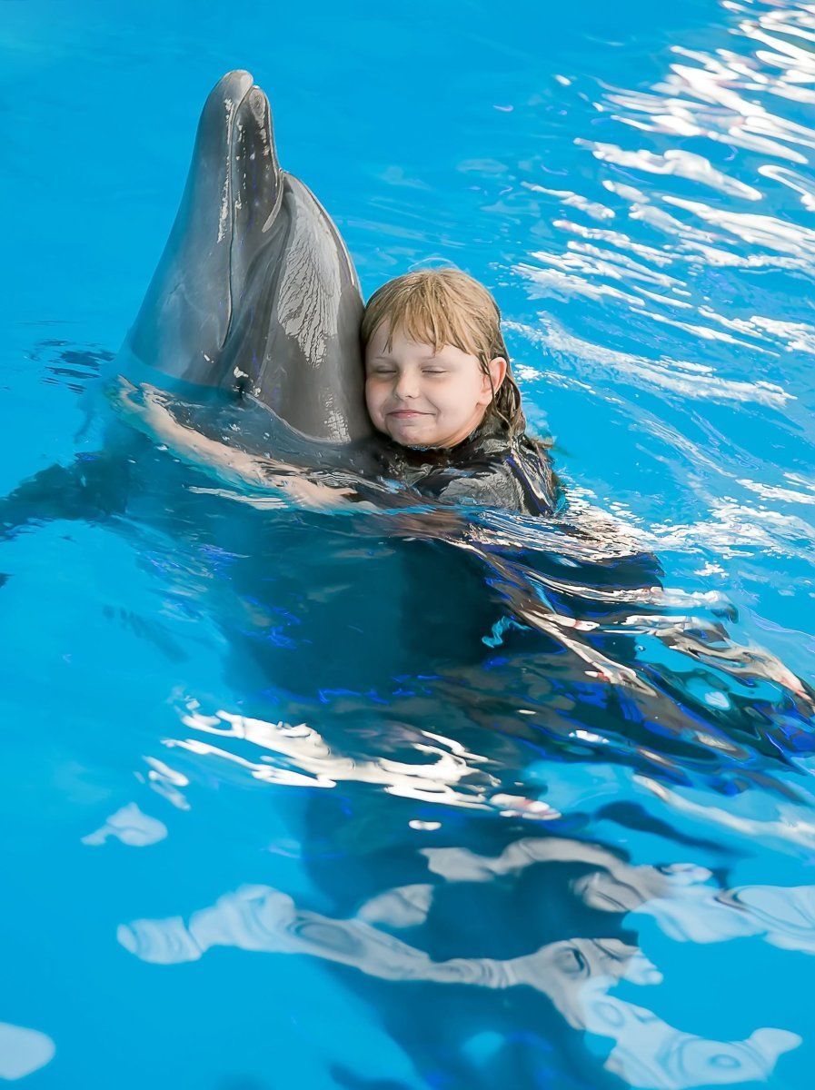 swim with dolphins