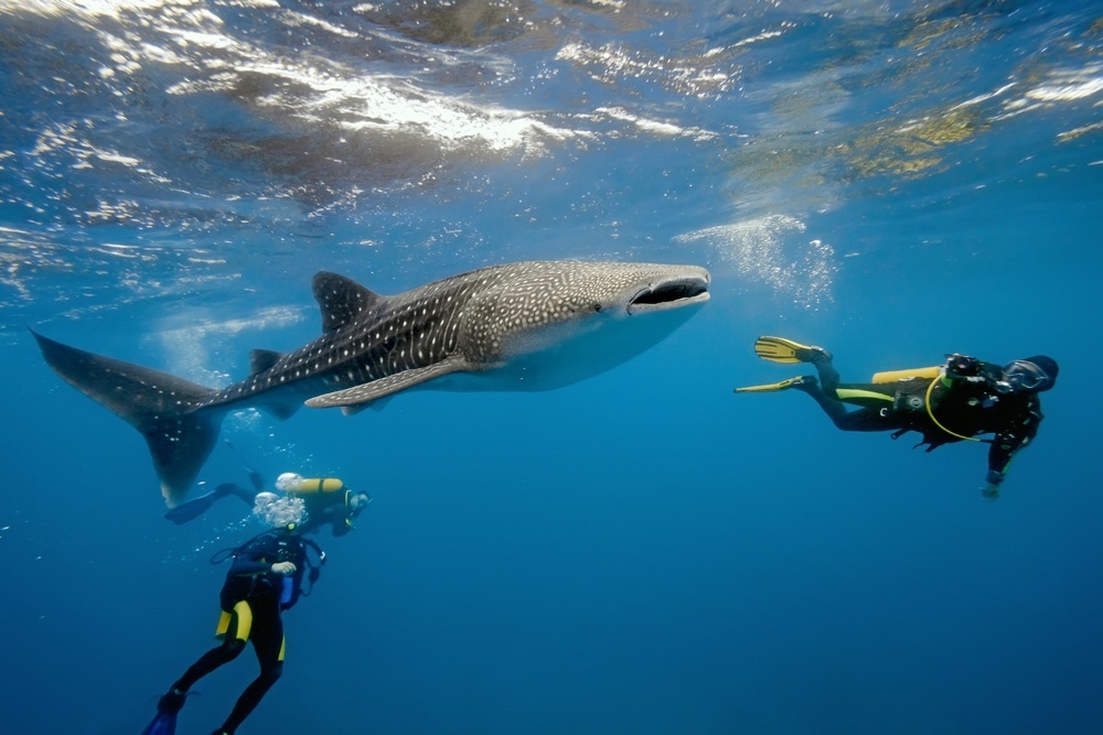 things to do in Cancun