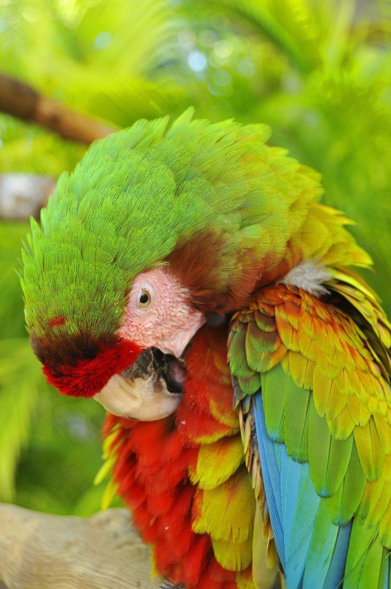 reasons to visit Nicaragua