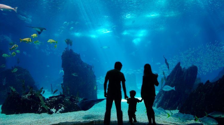 aquariums in America