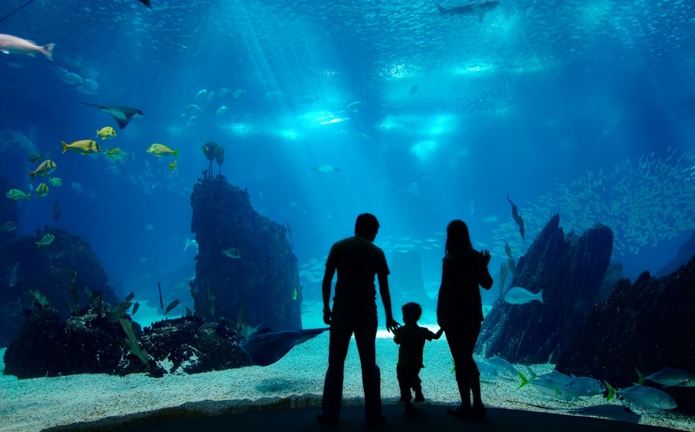 aquariums in America