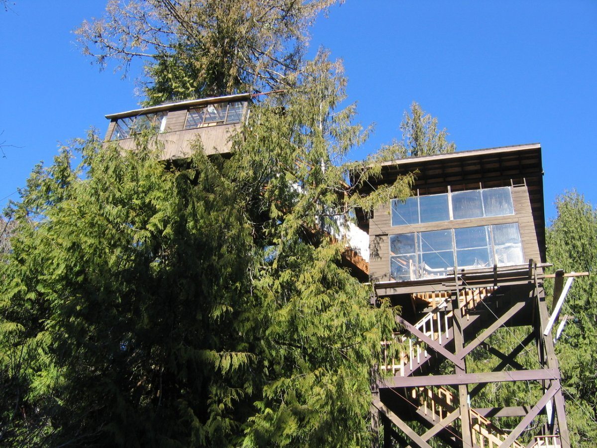 treehouse hotels