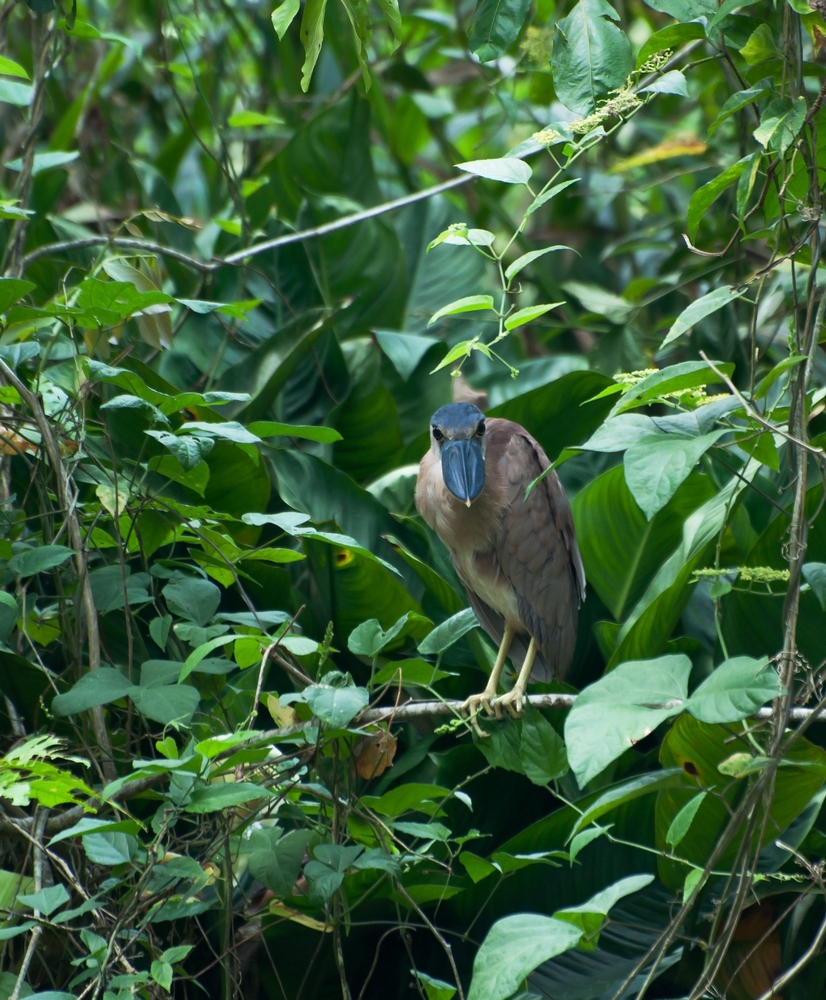 attractions of Belize