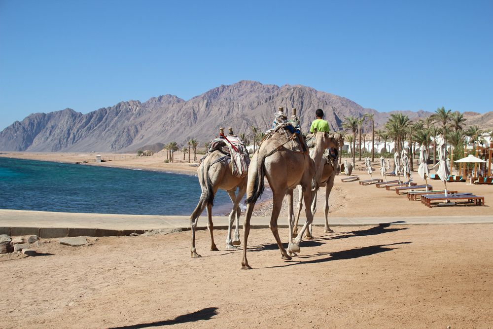 destinations for health and wellness