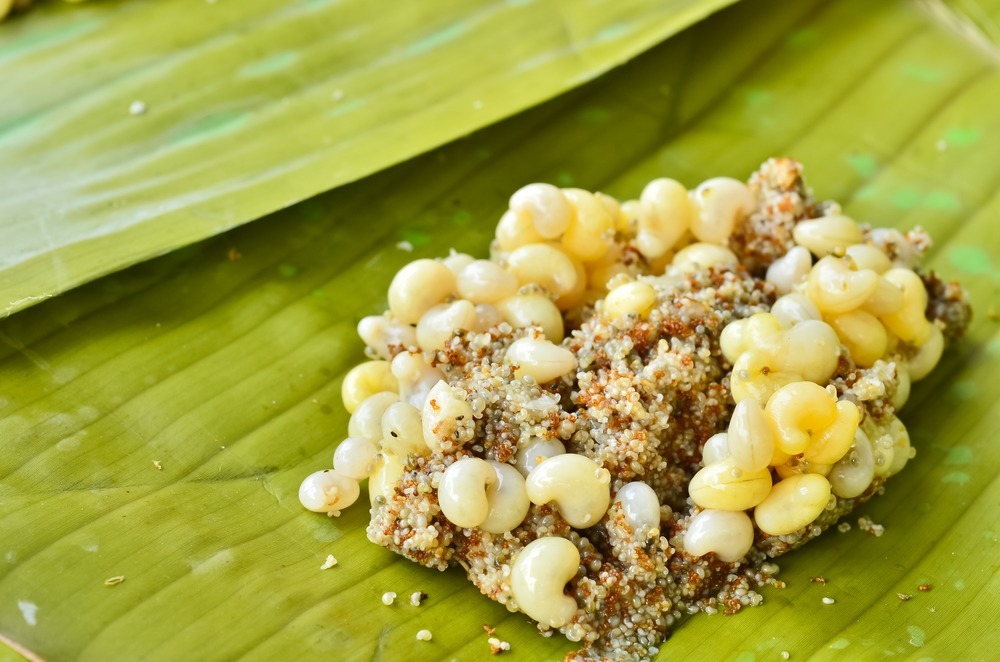 weird foods from around the world