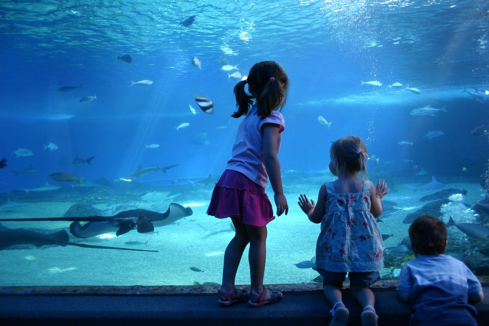 aquariums in America