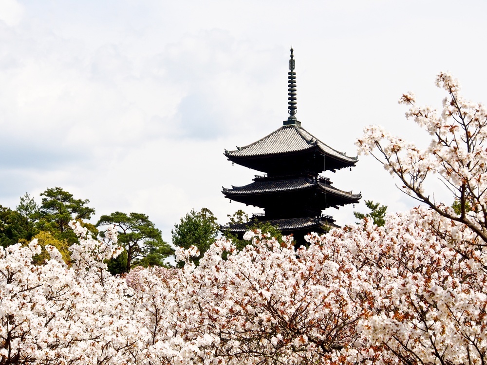 temples and shrines of Japan