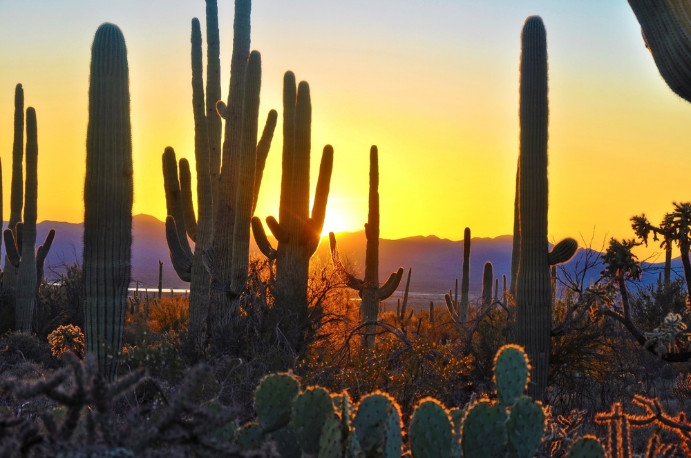 scenic spots in Arizona