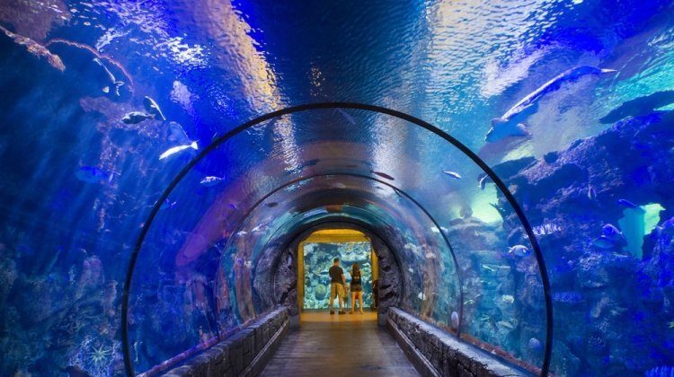 things to do in Vegas besides gamble