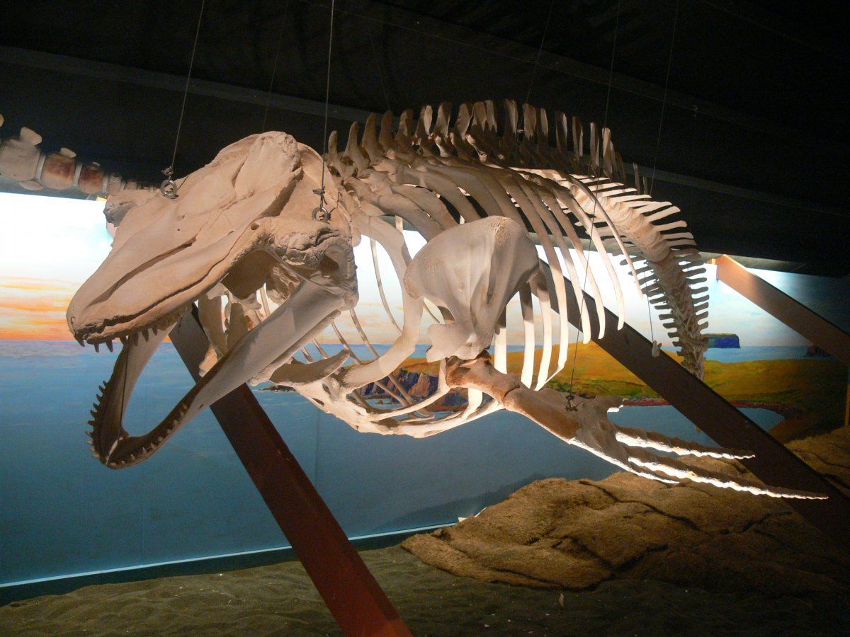 eclectic museums of Europe