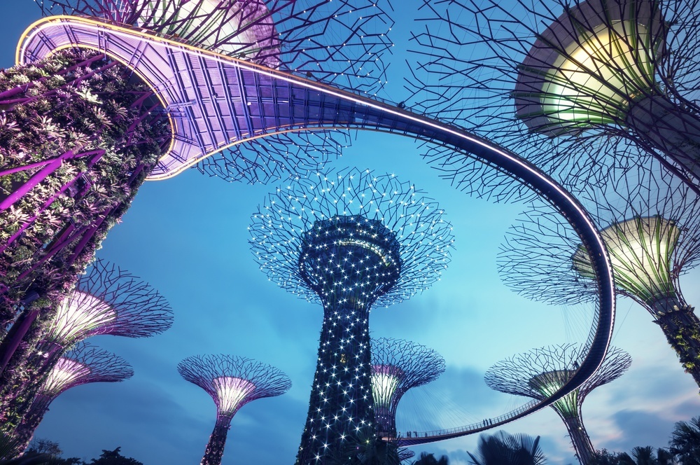 hair-raising skywalks