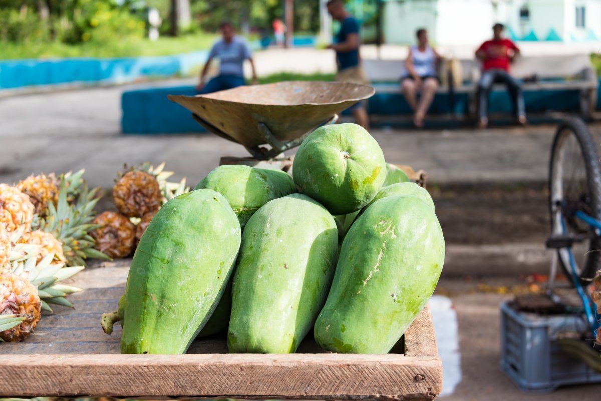 papaya